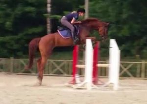 Freestyle Reuvekamps onder Wendy Weijenborg in het 1.00m